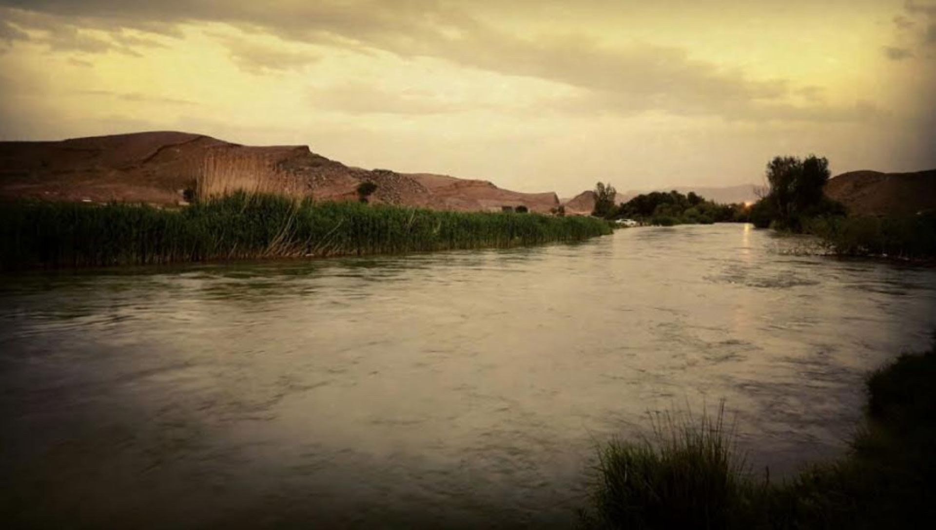 عکاسباشی