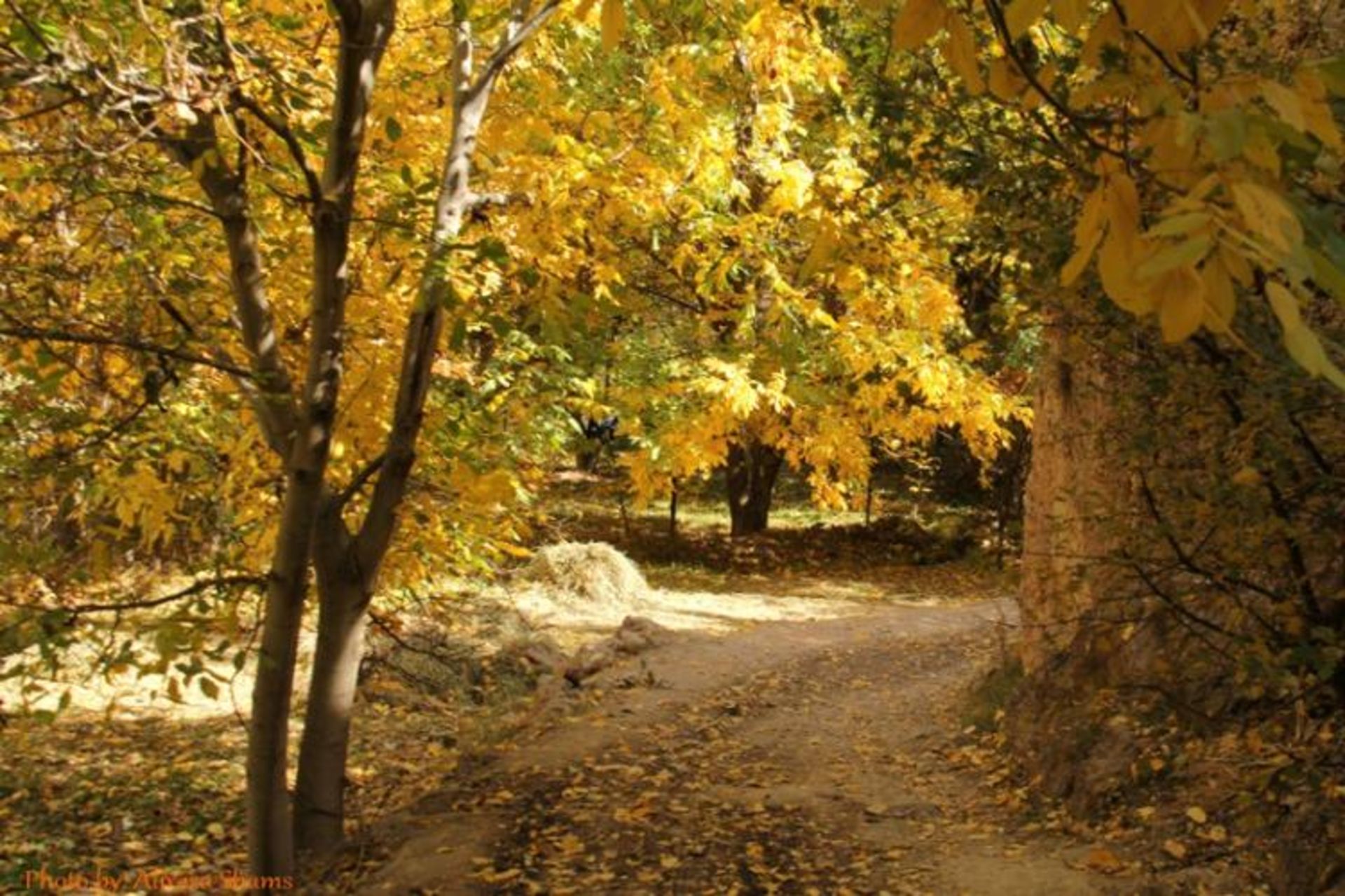 روستای هرانده