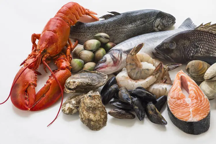 غذای دریایی