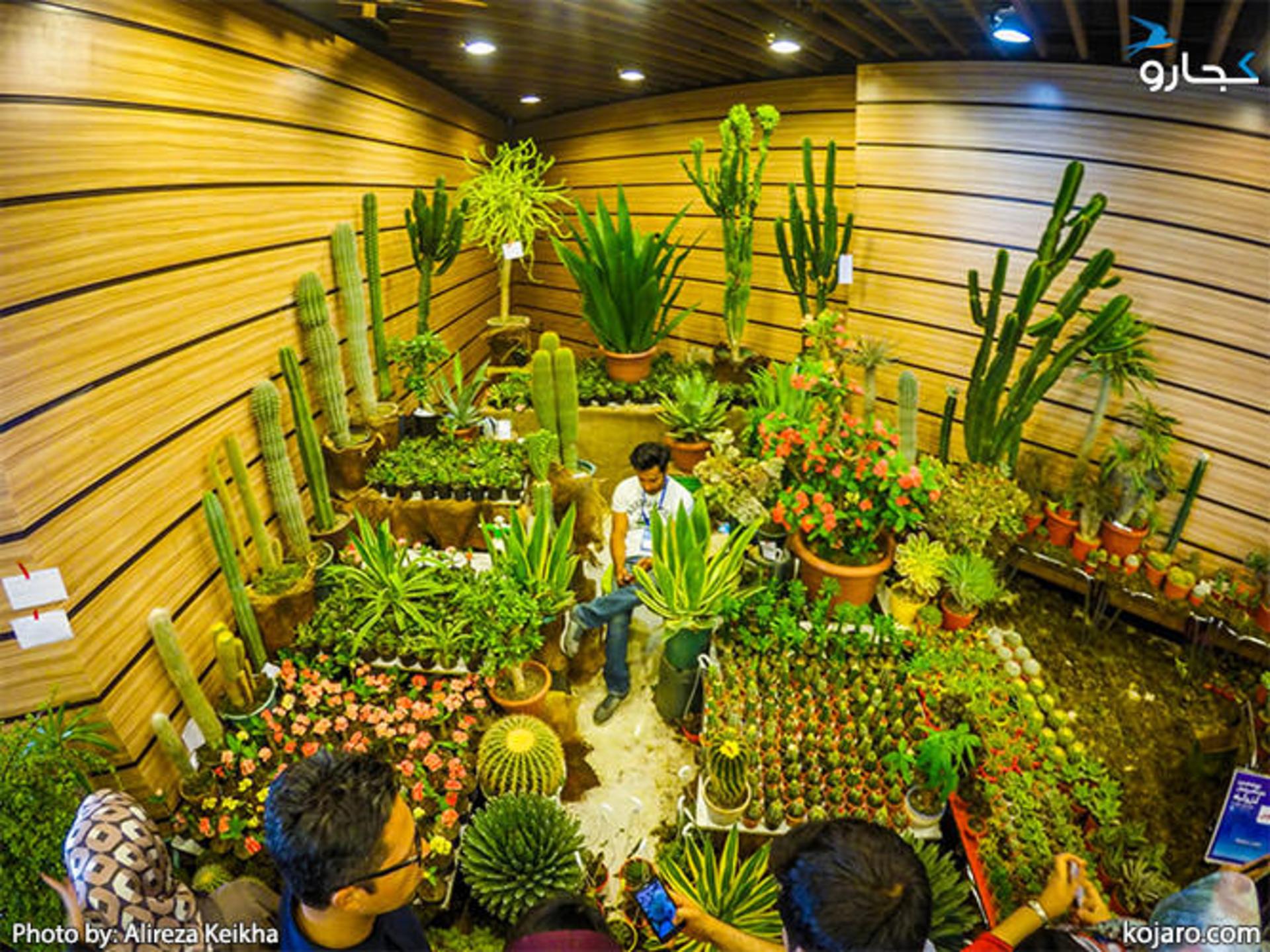 tehran-interbational-folwer-plants-exhibition