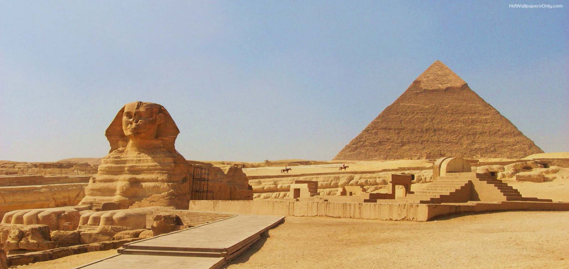 مصر