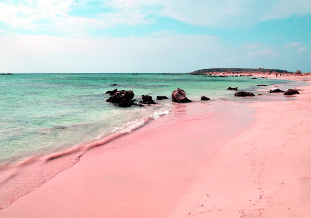 pink 1
