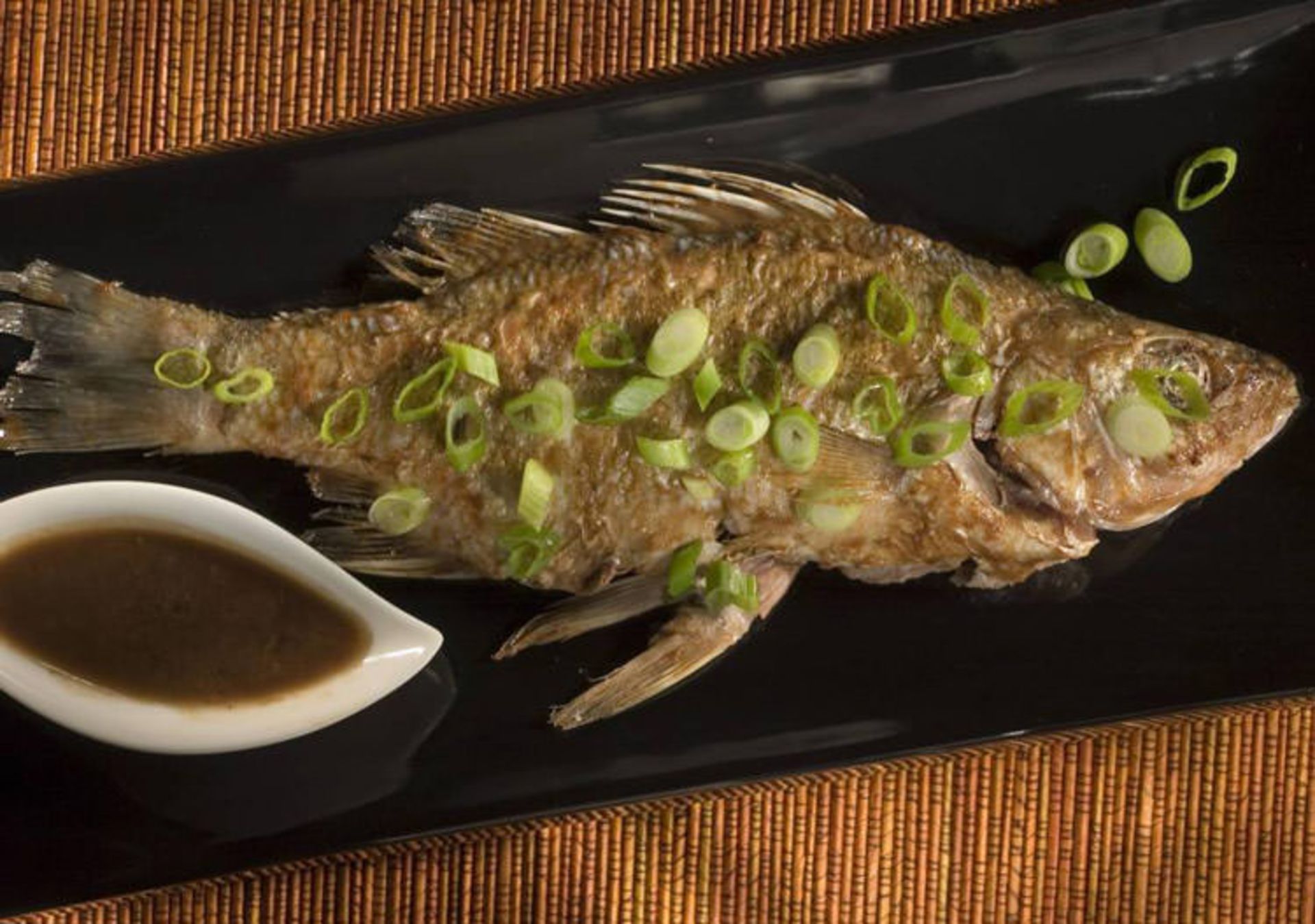 fish