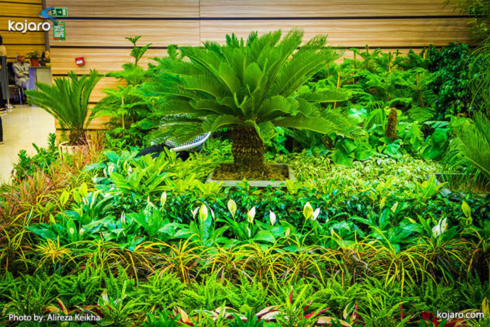 tehran-interbational-folwer-plants-exhibition