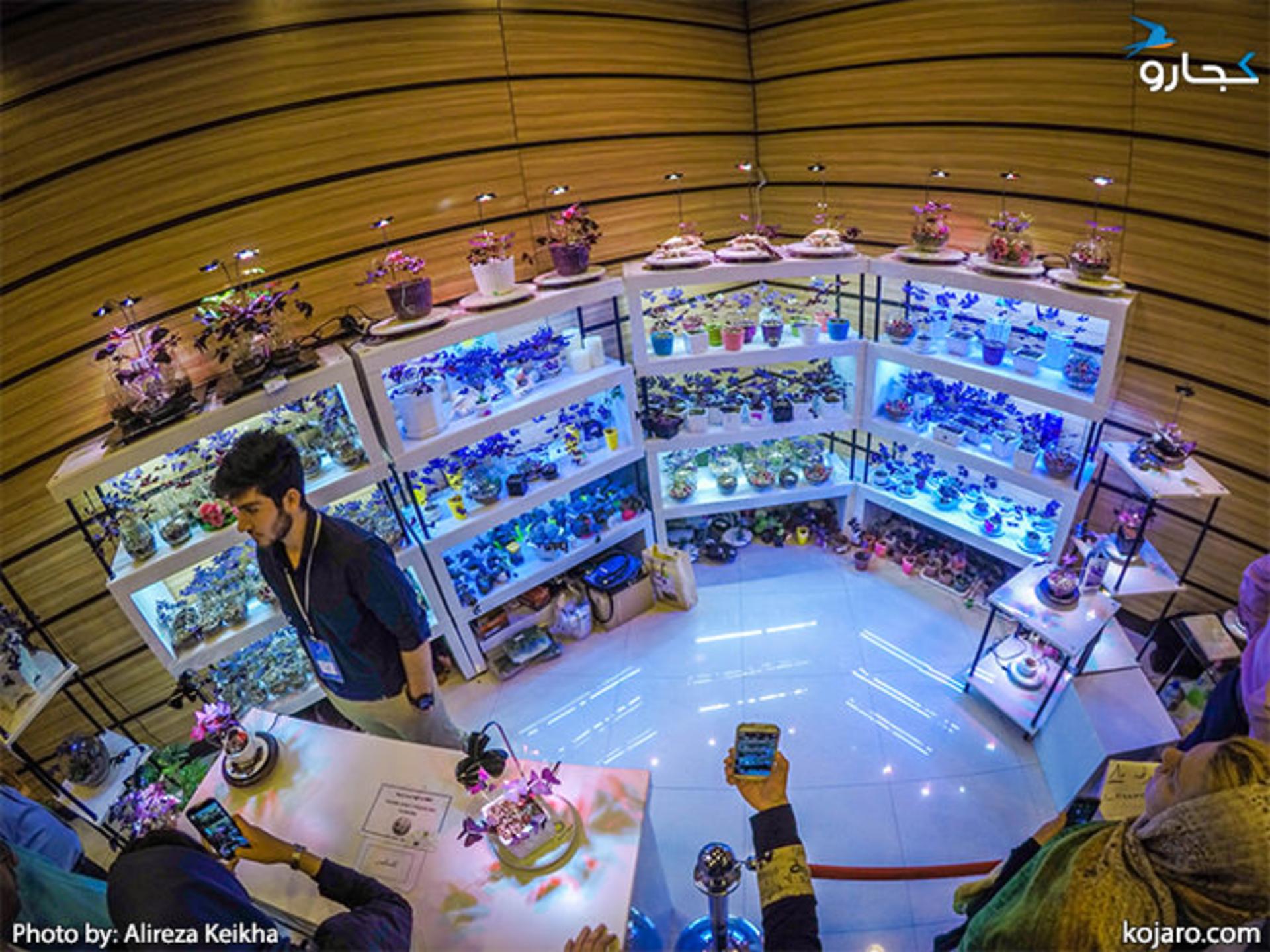 tehran-interbational-folwer-plants-exhibition
