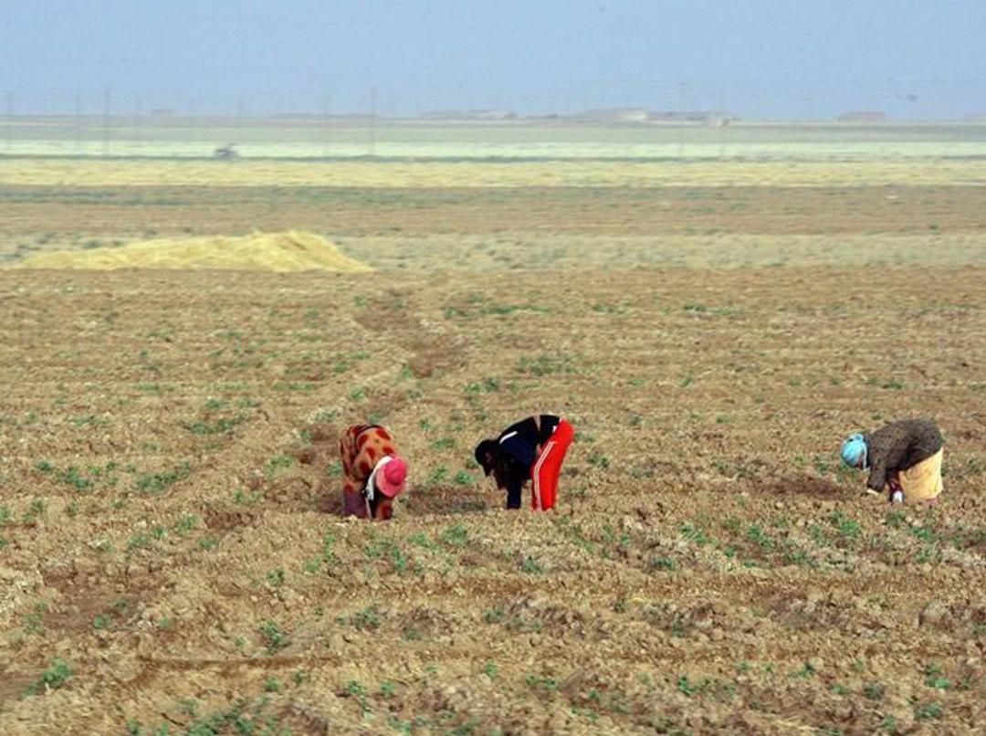 سوریه