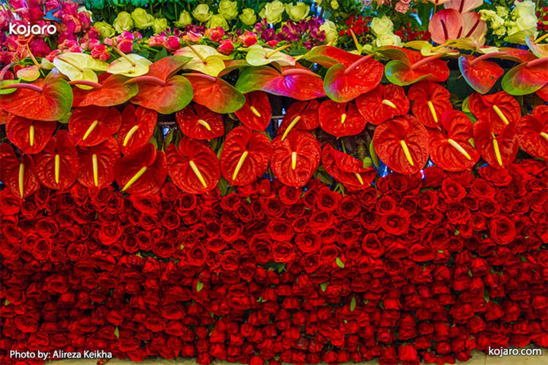 tehran-interbational-folwer-plants-exhibition