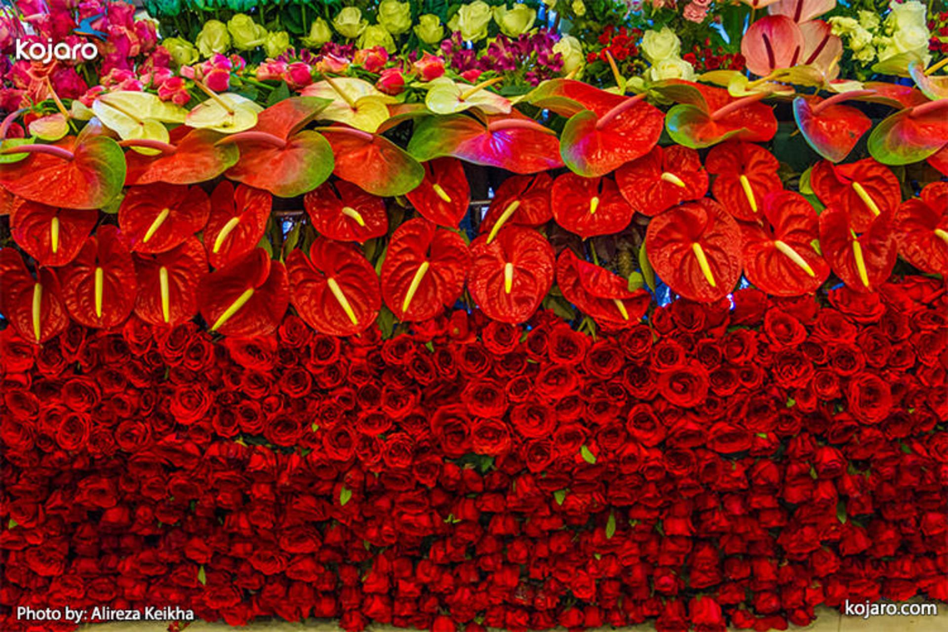 tehran-interbational-folwer-plants-exhibition