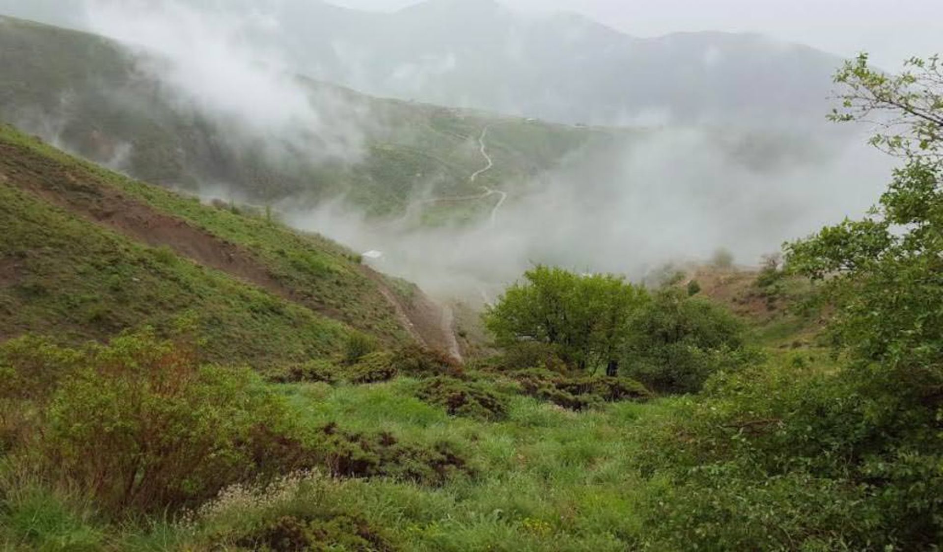 عکاسباشی