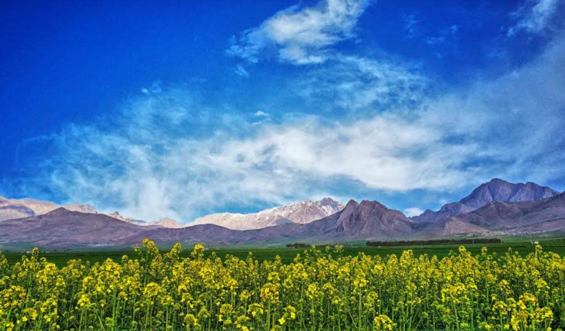 عکاسباشی