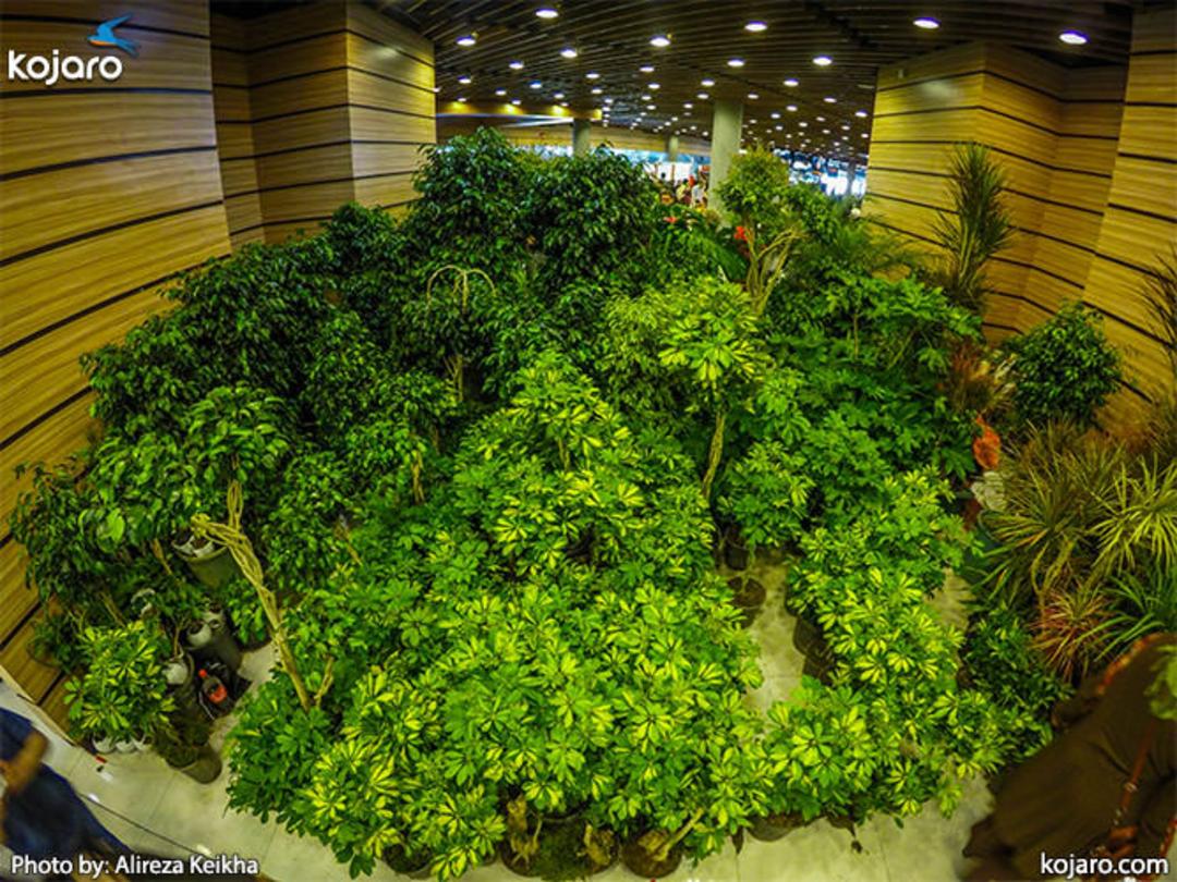 tehran-interbational-folwer-plants-exhibition