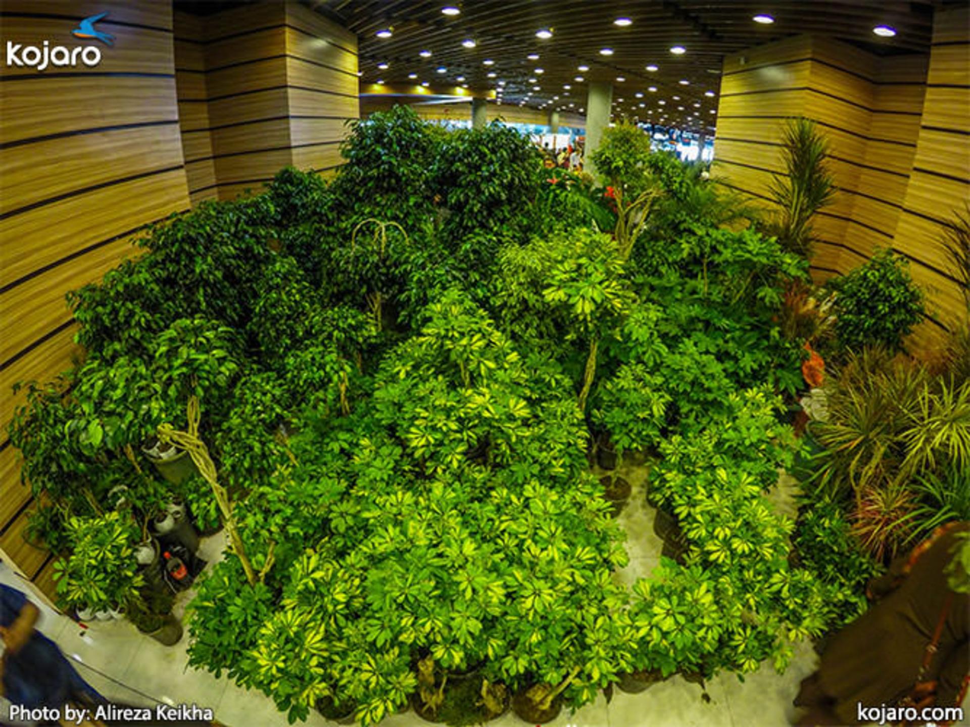 tehran-interbational-folwer-plants-exhibition