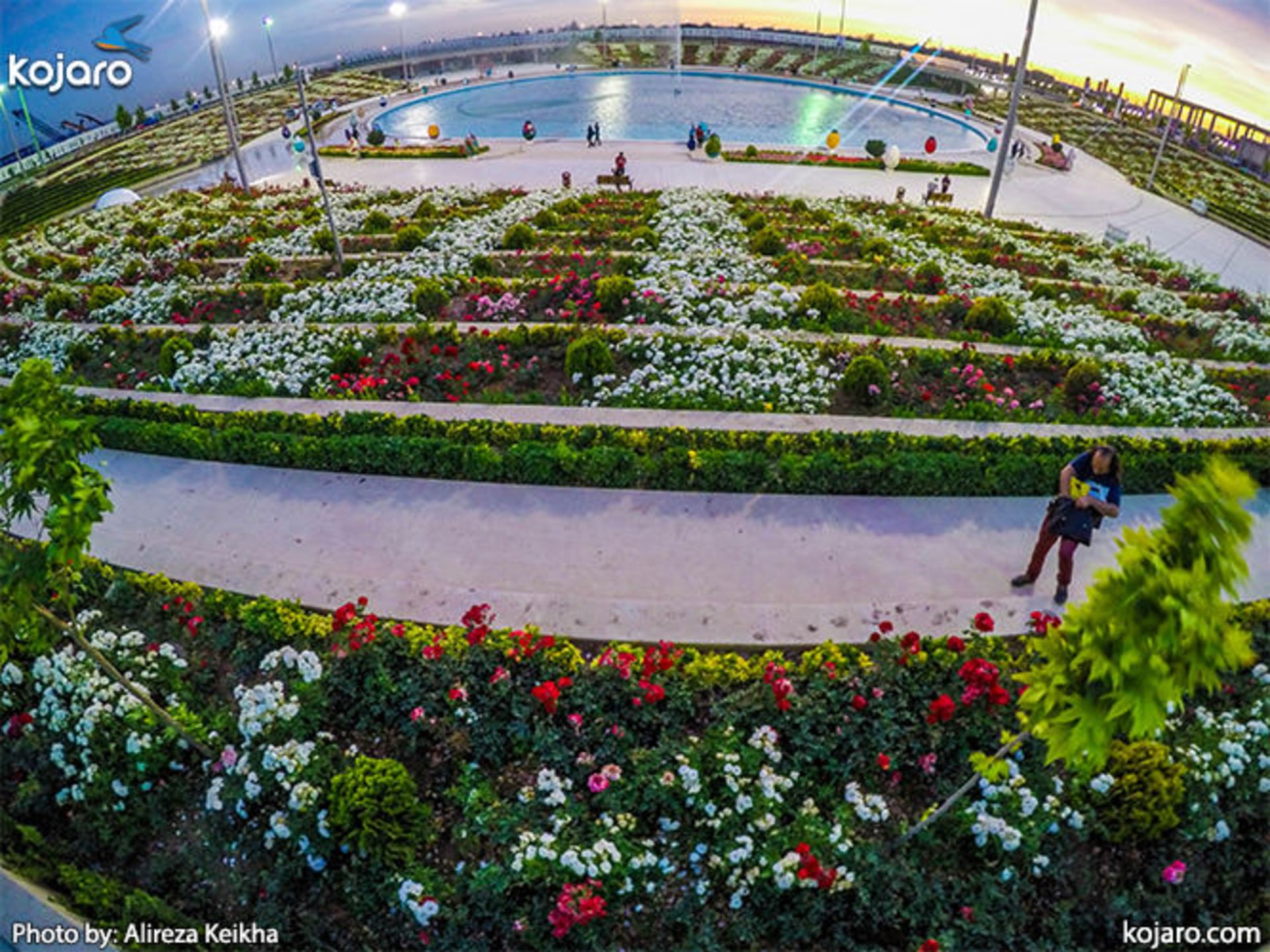 tehran-international-book-fair