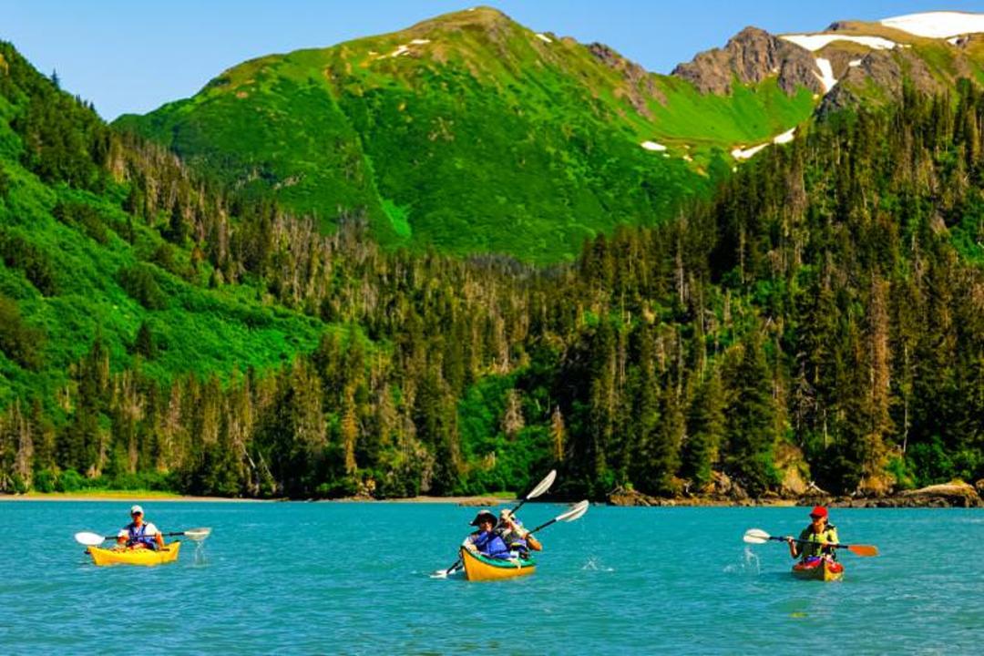 اقامتگاه Hideaway Cove Wilderness، آلاسکا