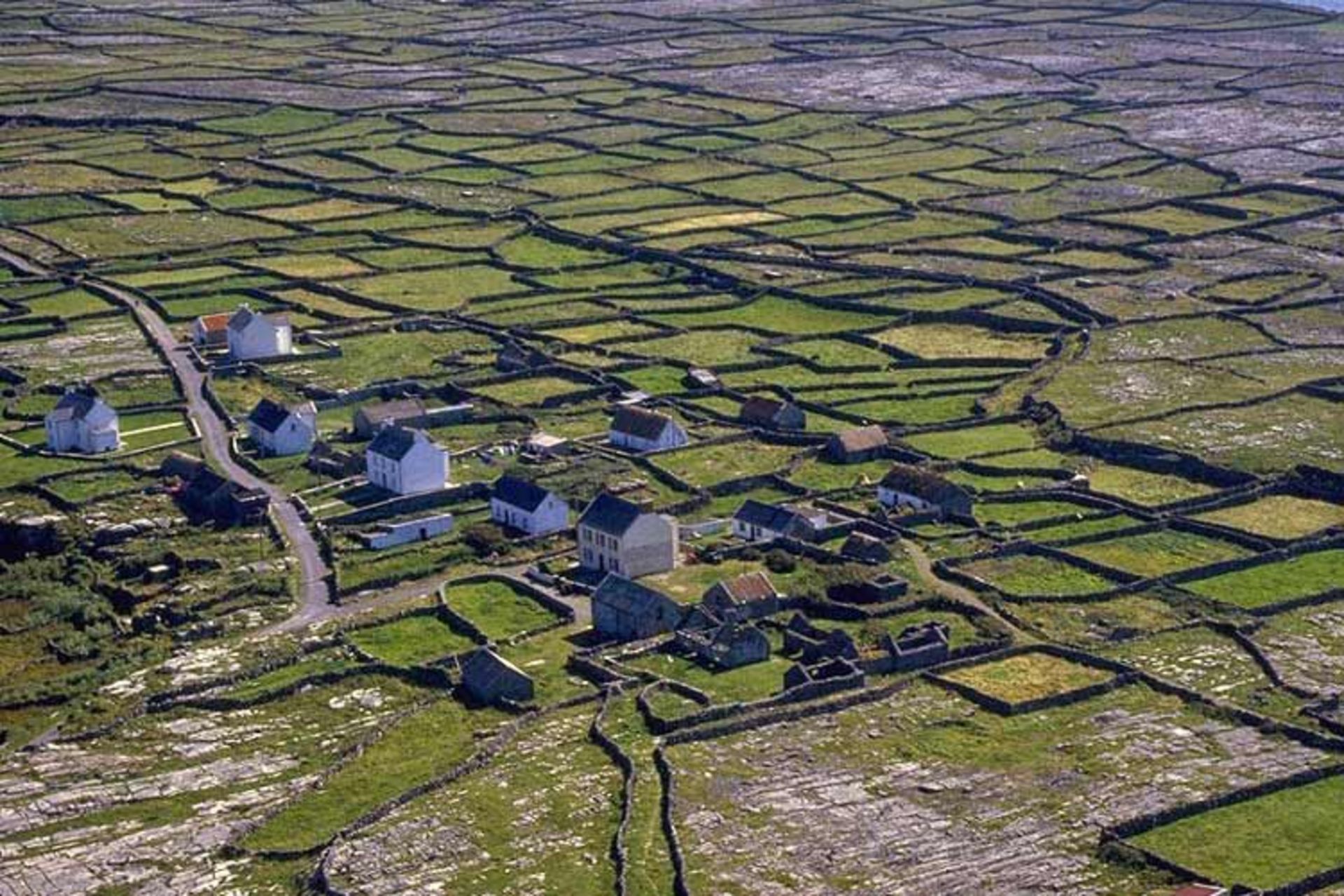 دیوار سنگی در جزایر آران