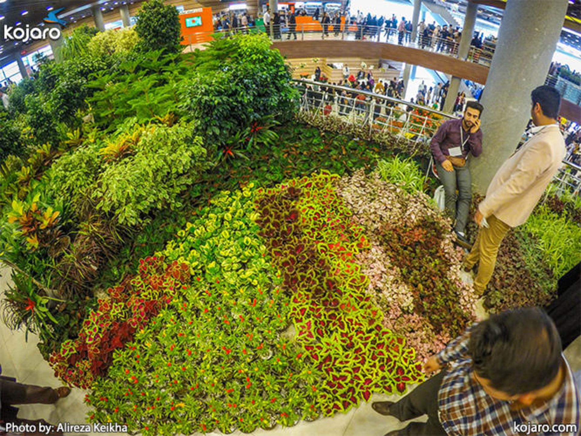 tehran-interbational-folwer-plants-exhibition