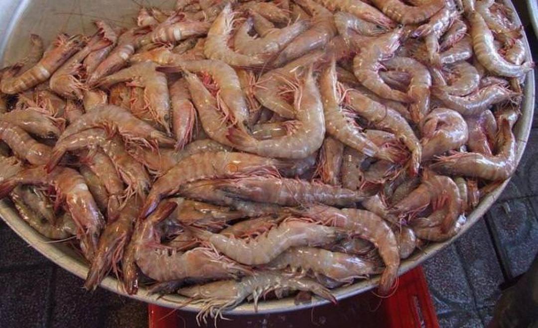 بندر سیراف