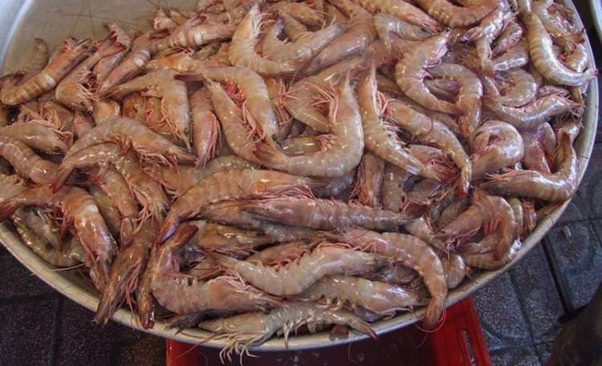 بندر سیراف