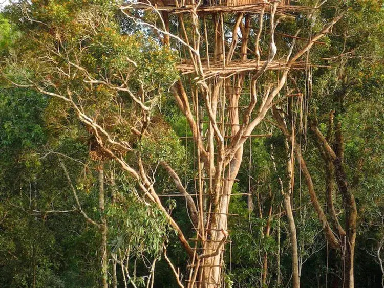 treehouse