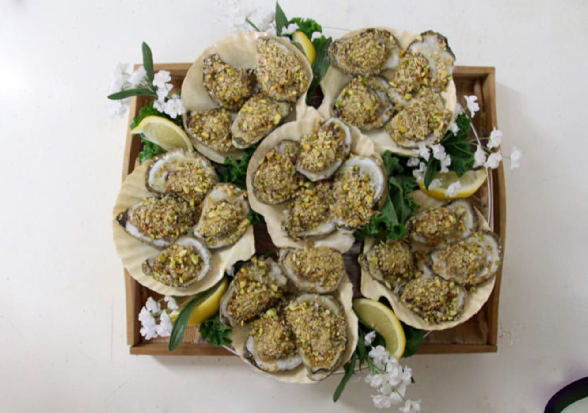 oyster 3
