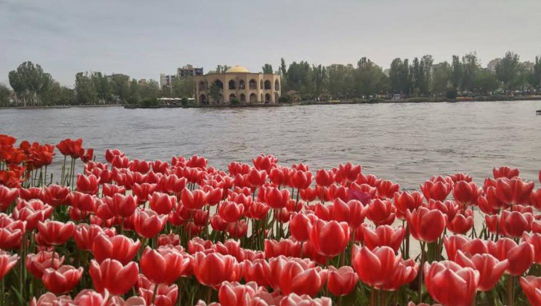 عکاسباشی