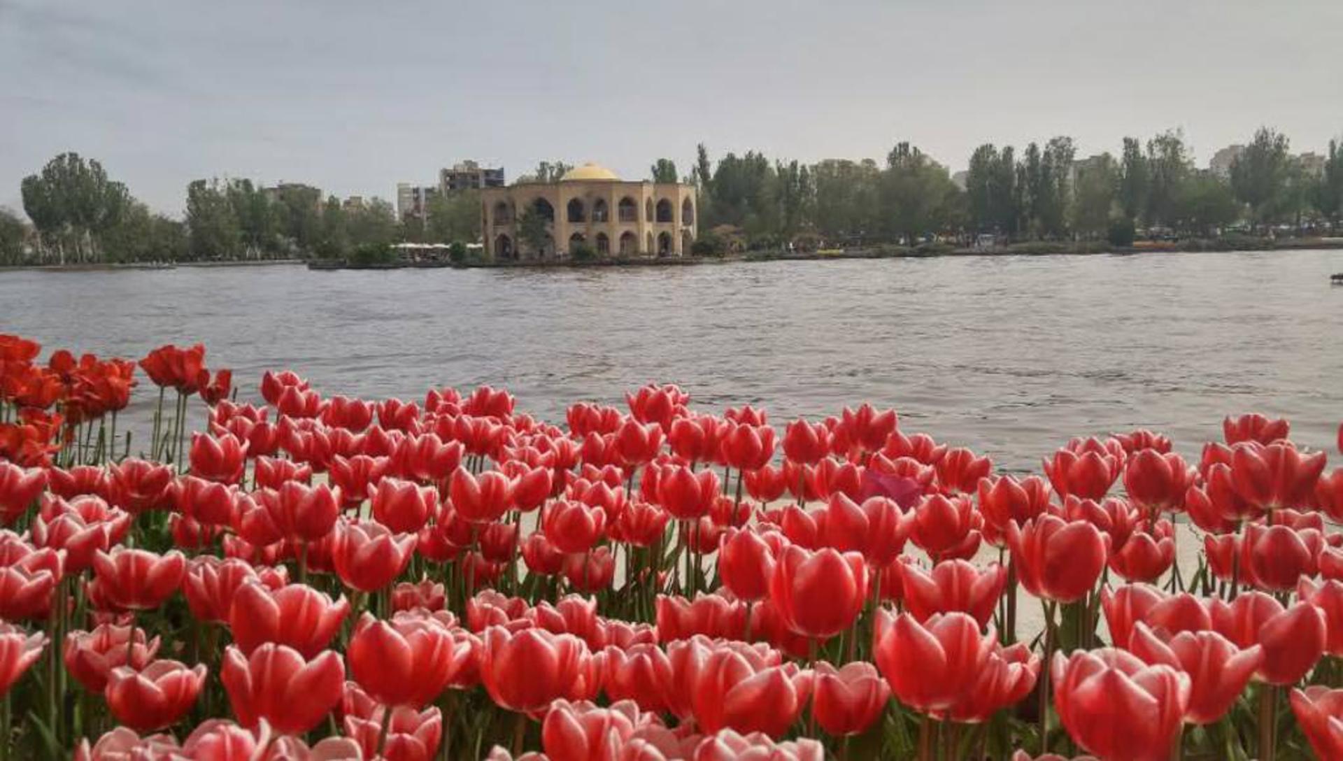 عکاسباشی