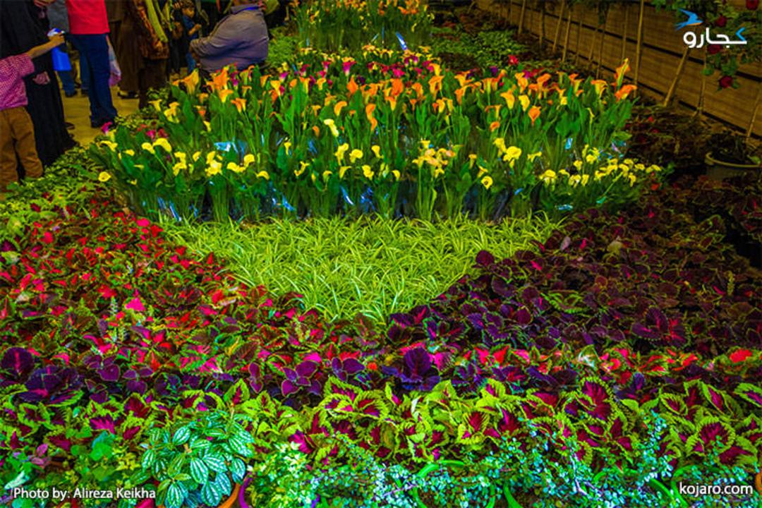 tehran-interbational-folwer-plants-exhibition