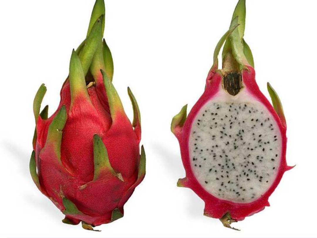میوه های عجیب میوه اژدها