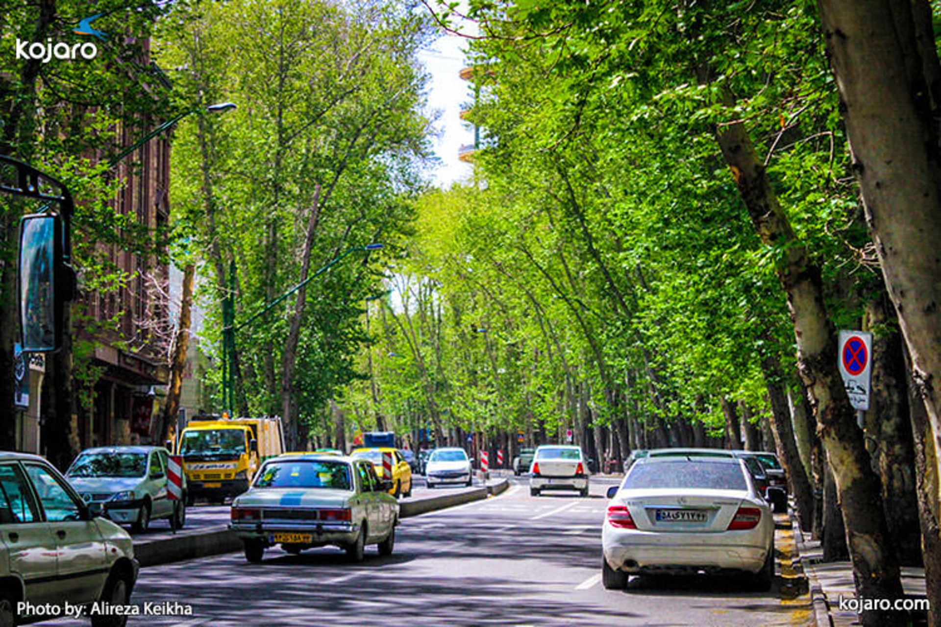 spring-in-tajrish