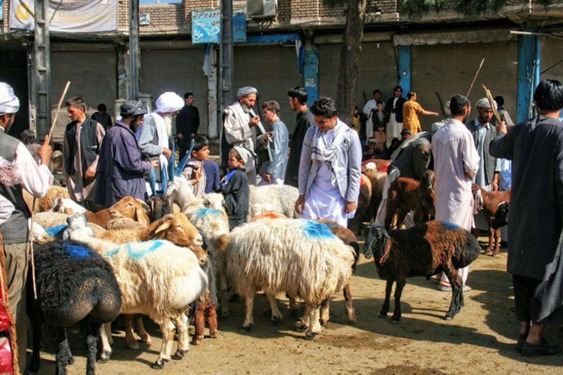 افغانستان