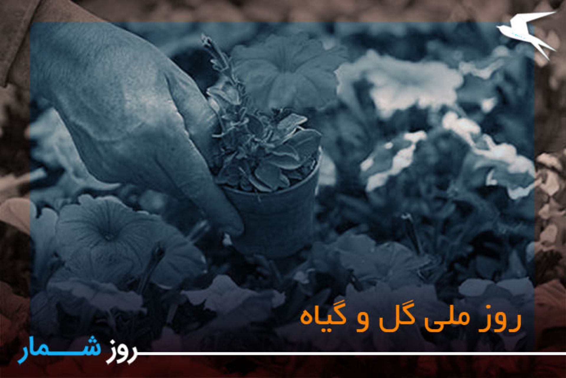 روز ملی گل و گیاه