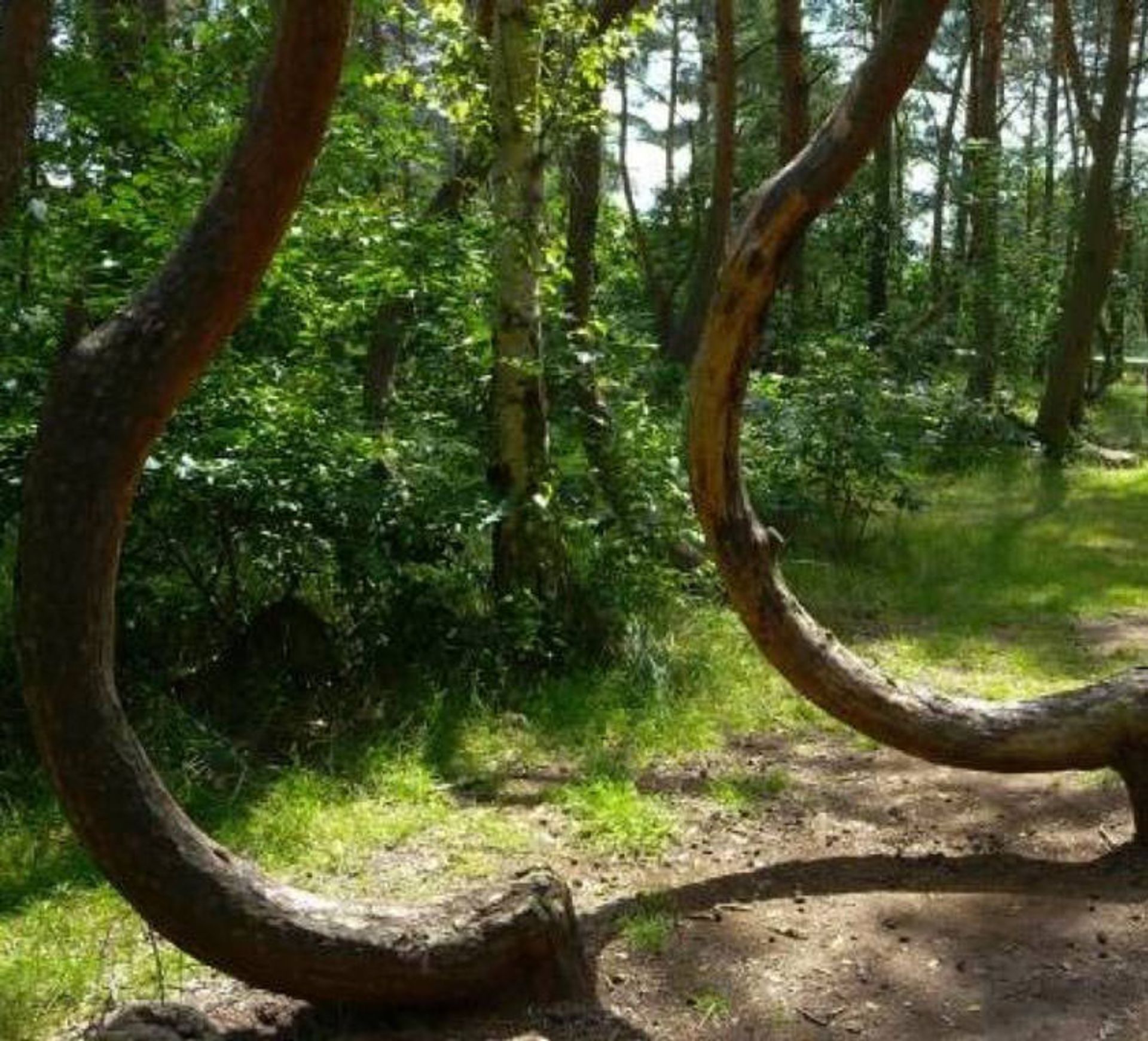 creepy areas around world