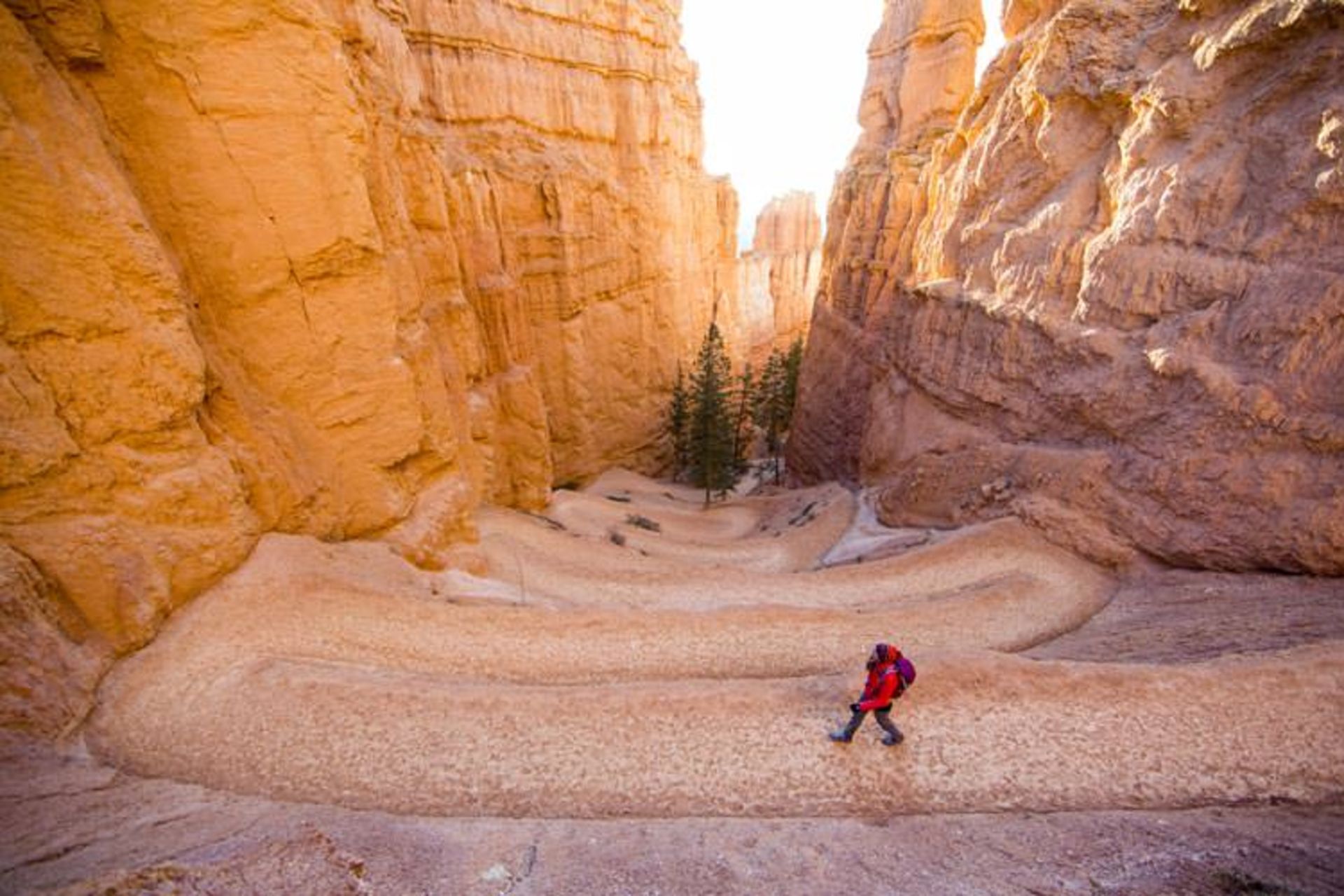 mountain-trekking