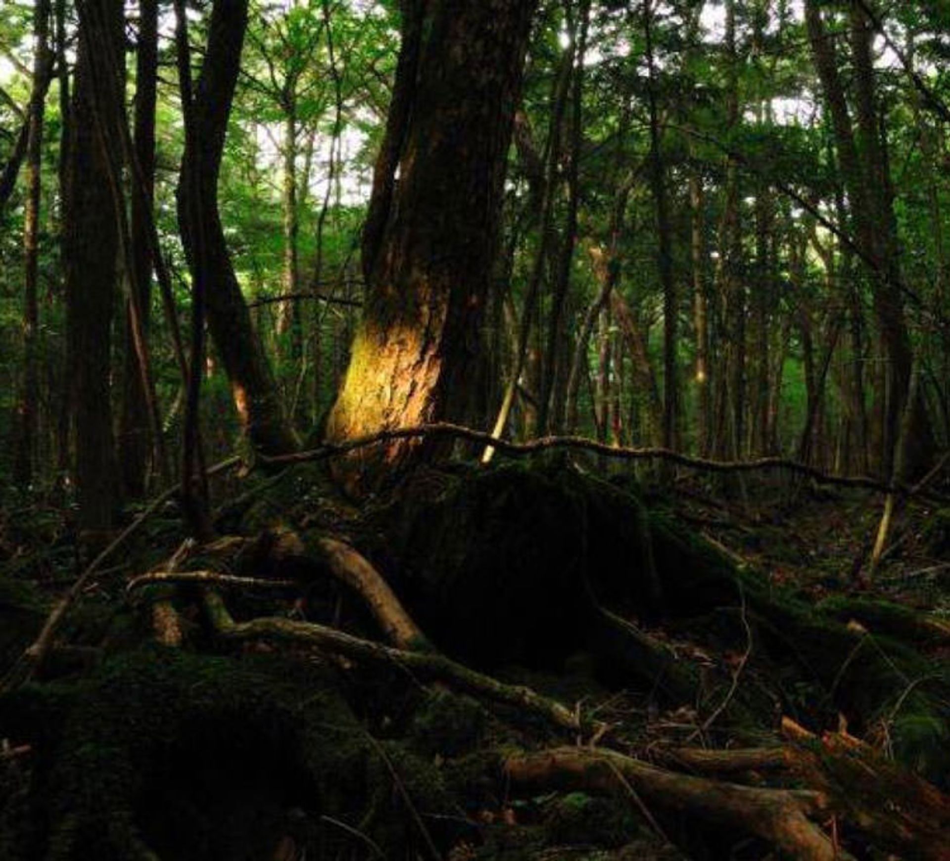 creepy areas around world