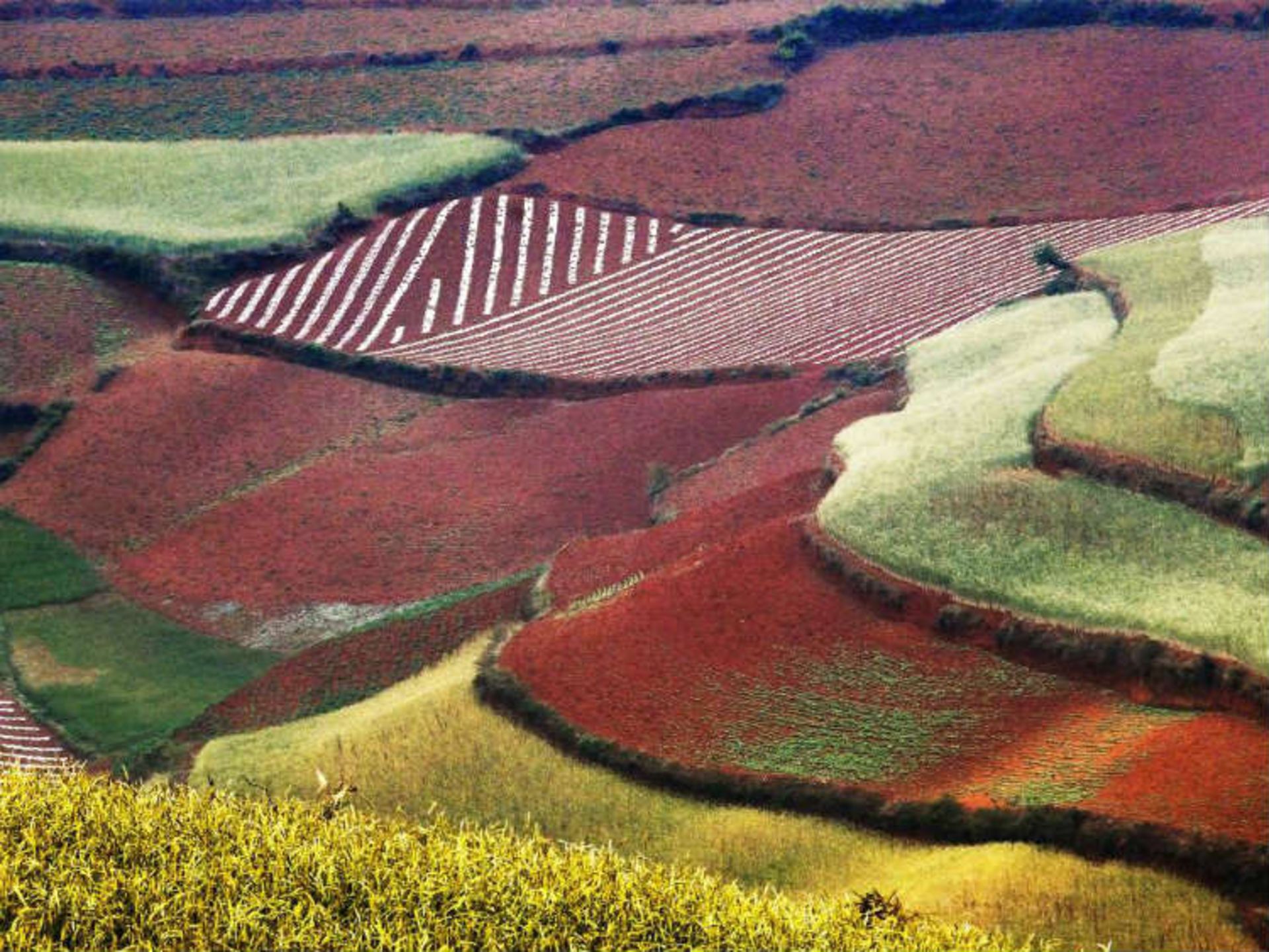 دانگچوآن چین10