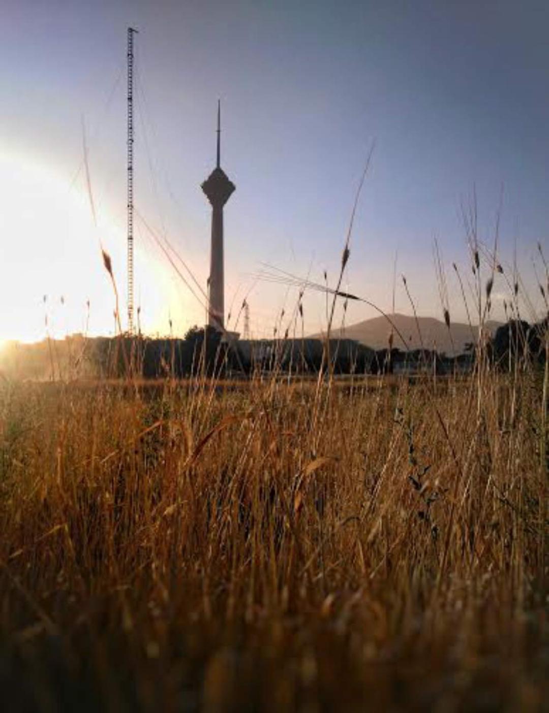 عکاسباشی