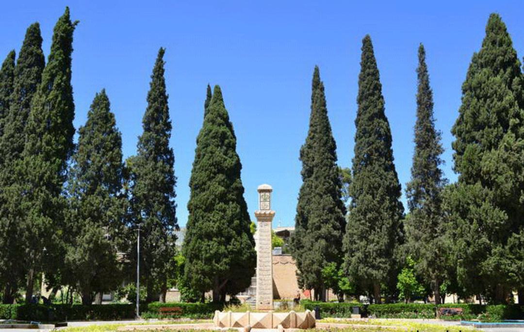 سرو 