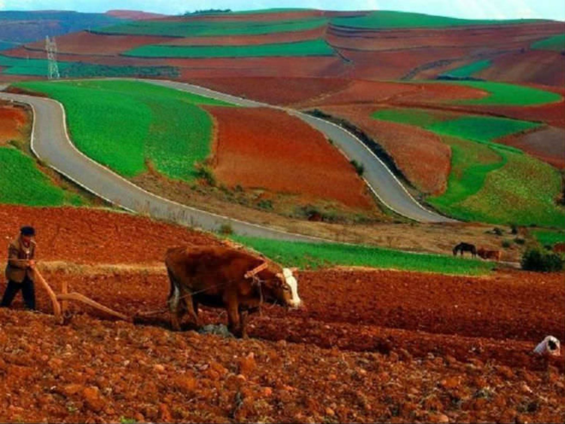 دانگچوآن چین9