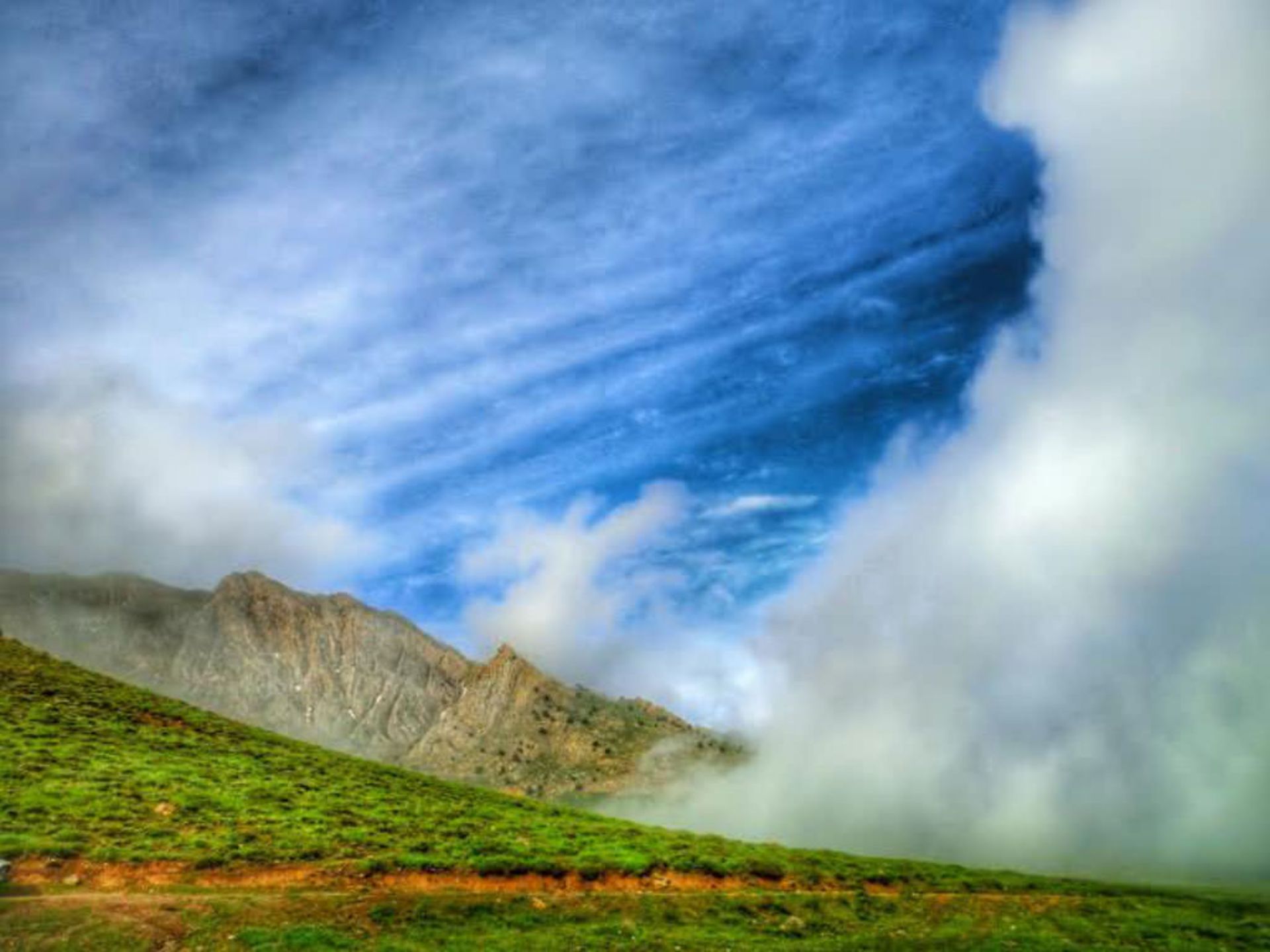 عکاسباشی