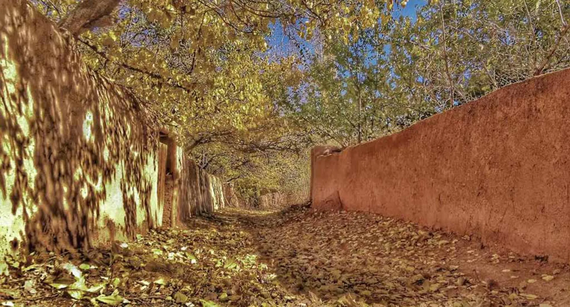 مهدوی