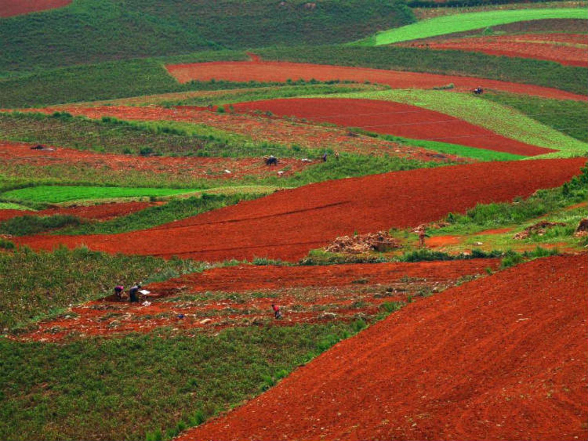 دانگچوآن چین14