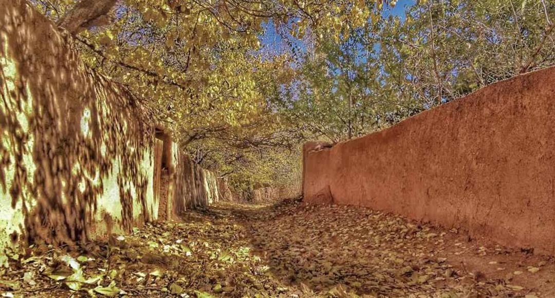عکس برتر
