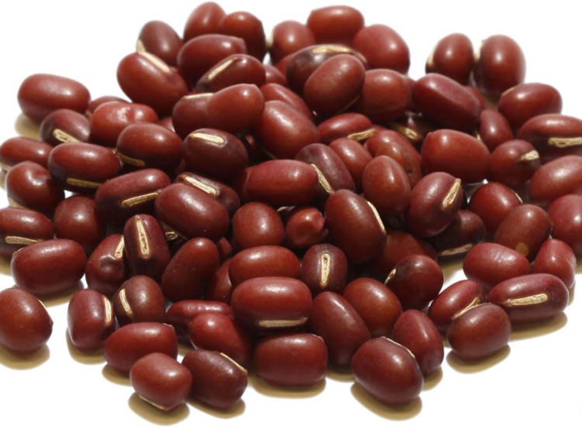لوبیا