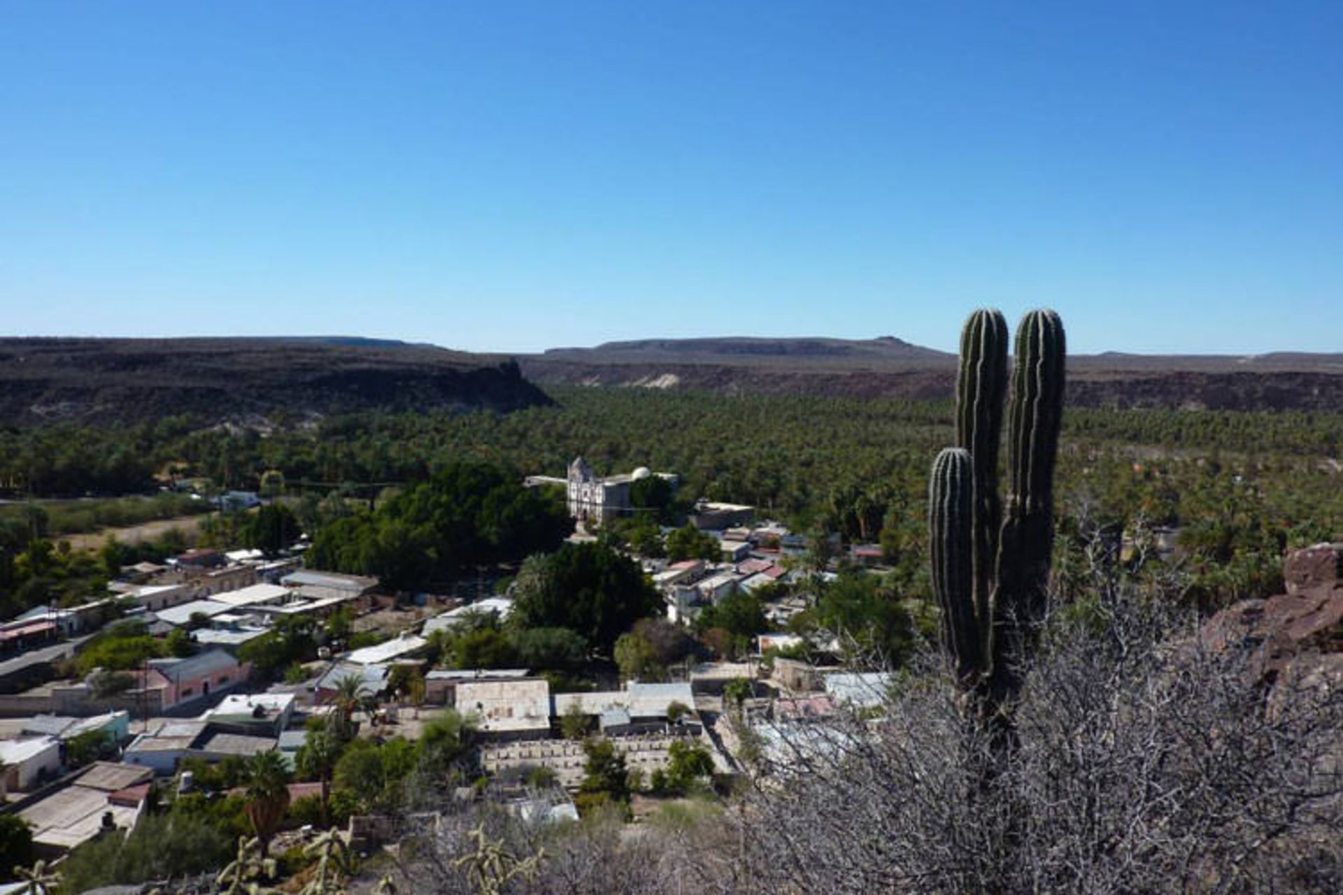   Desert Oases