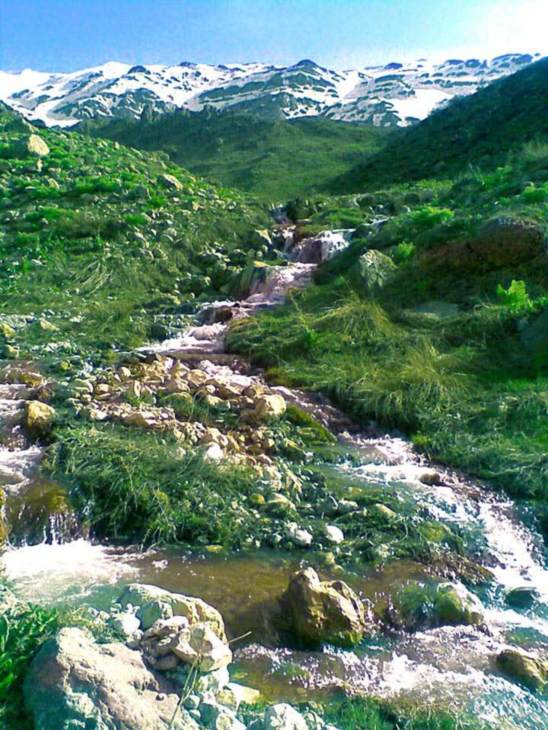 عشایر