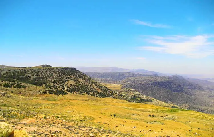 دانا بیوسفر