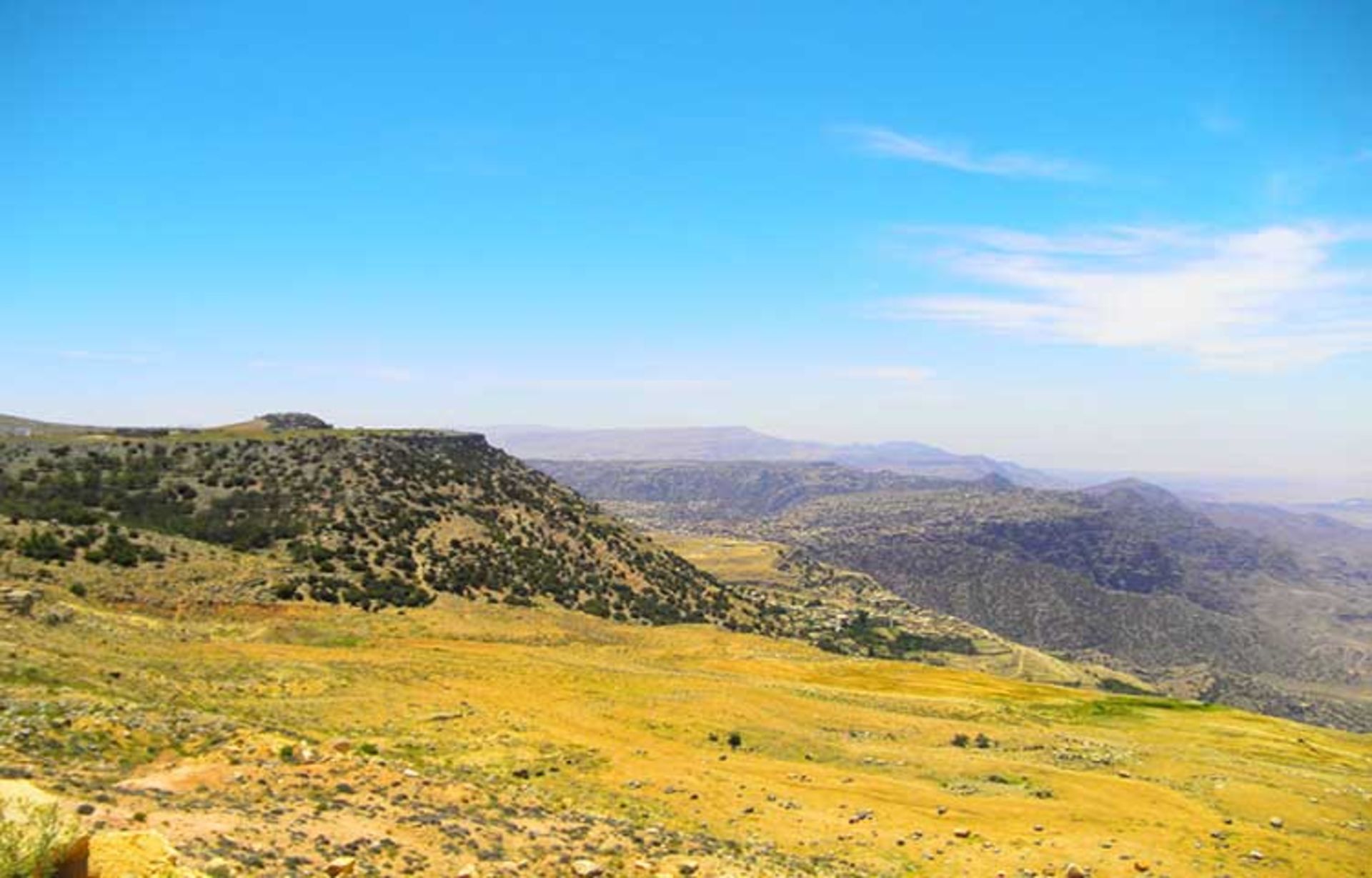 دانا بیوسفر