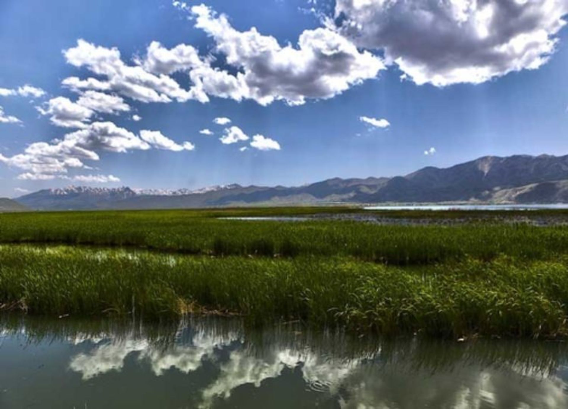 دریاچه زریوار