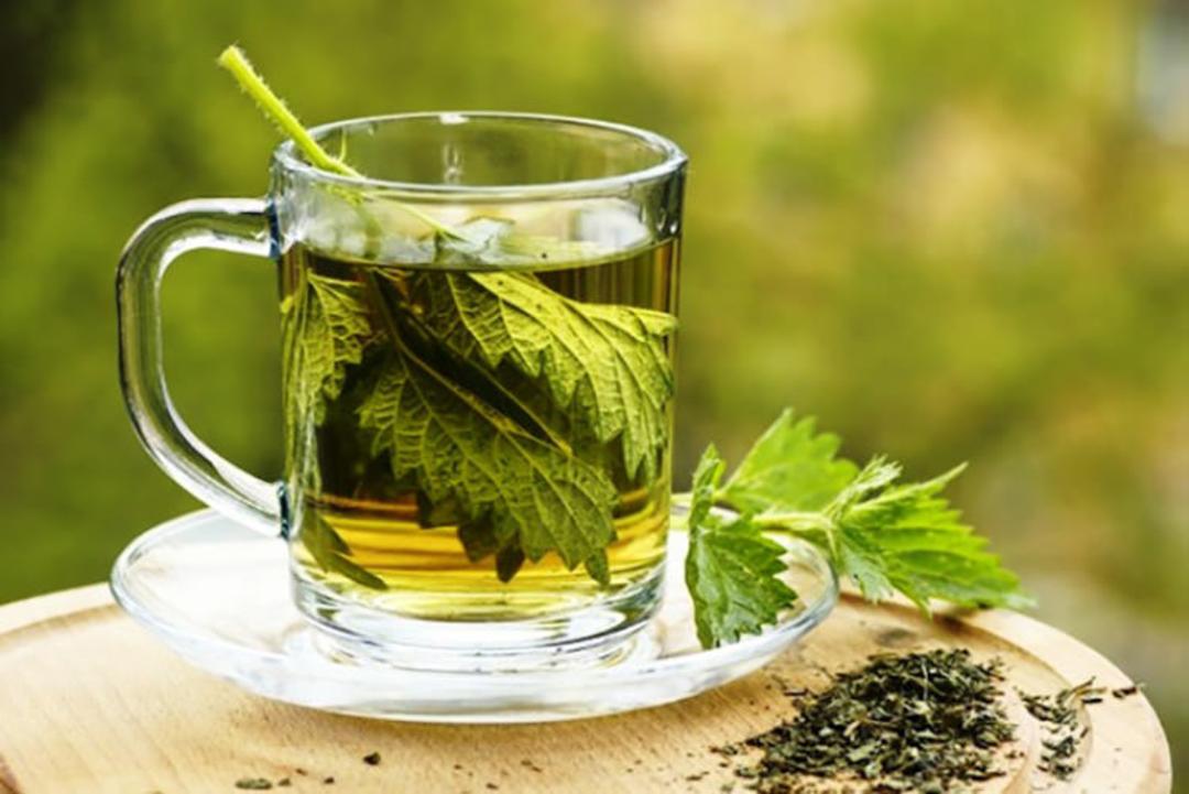 دم کرده نعناع
