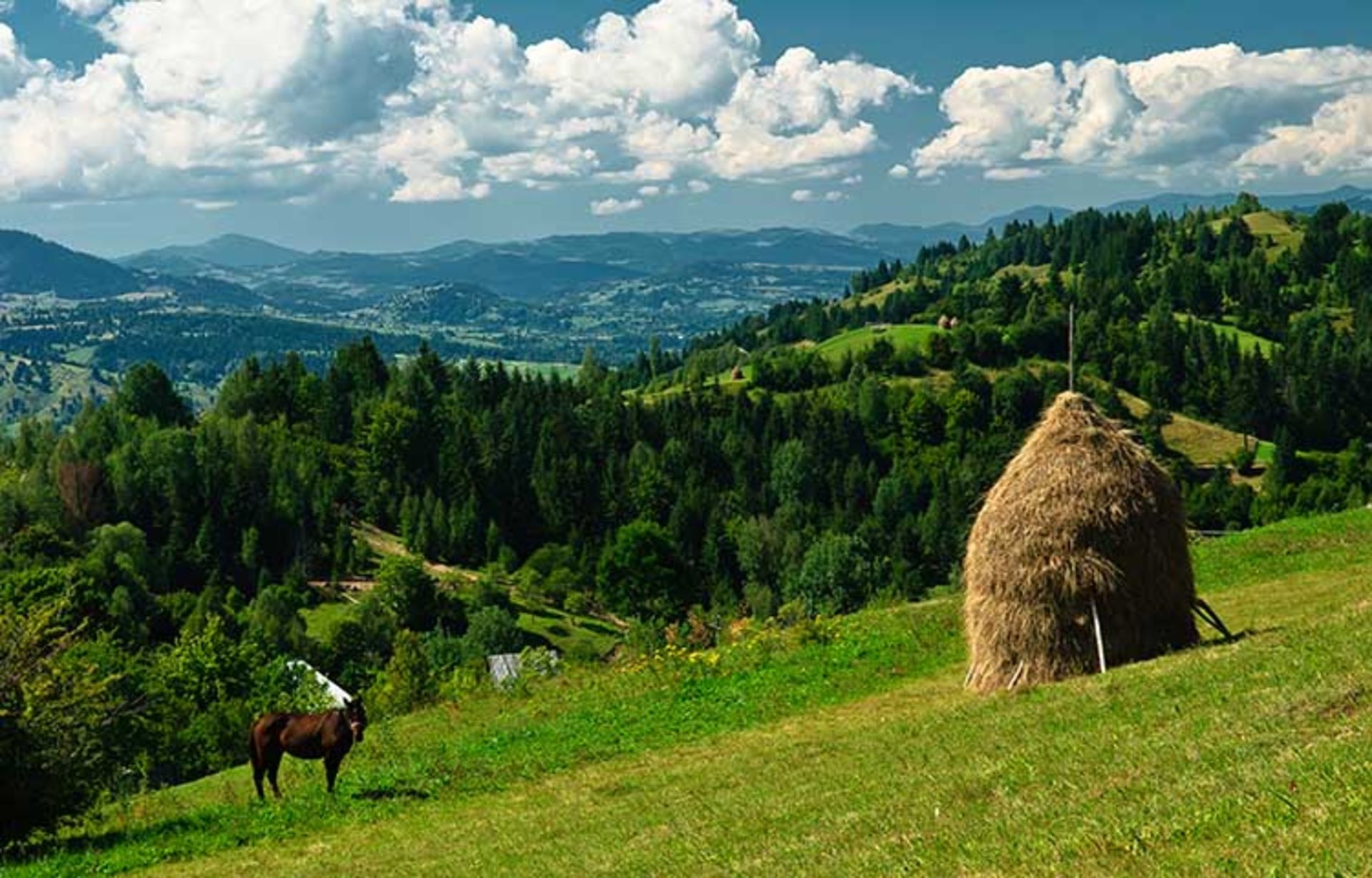 مارامورش